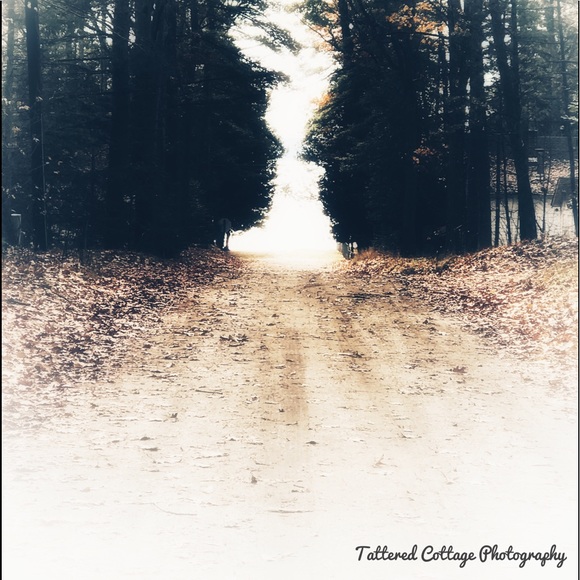 Meet your Posher, Rachael - Picture 6 of 7